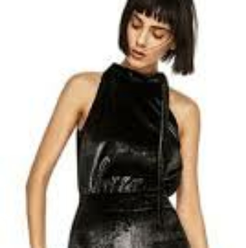 Zara Basic Evening Collection Metallic Velvet Sle… - image 2